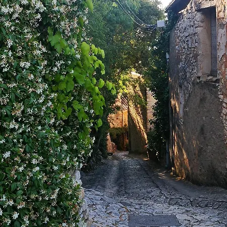 Sous La Pergola